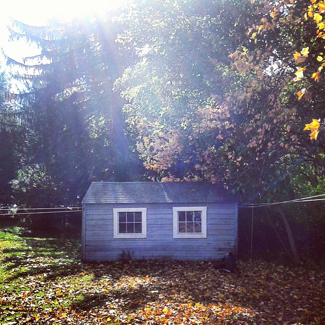 Ryan's backyard #autumn